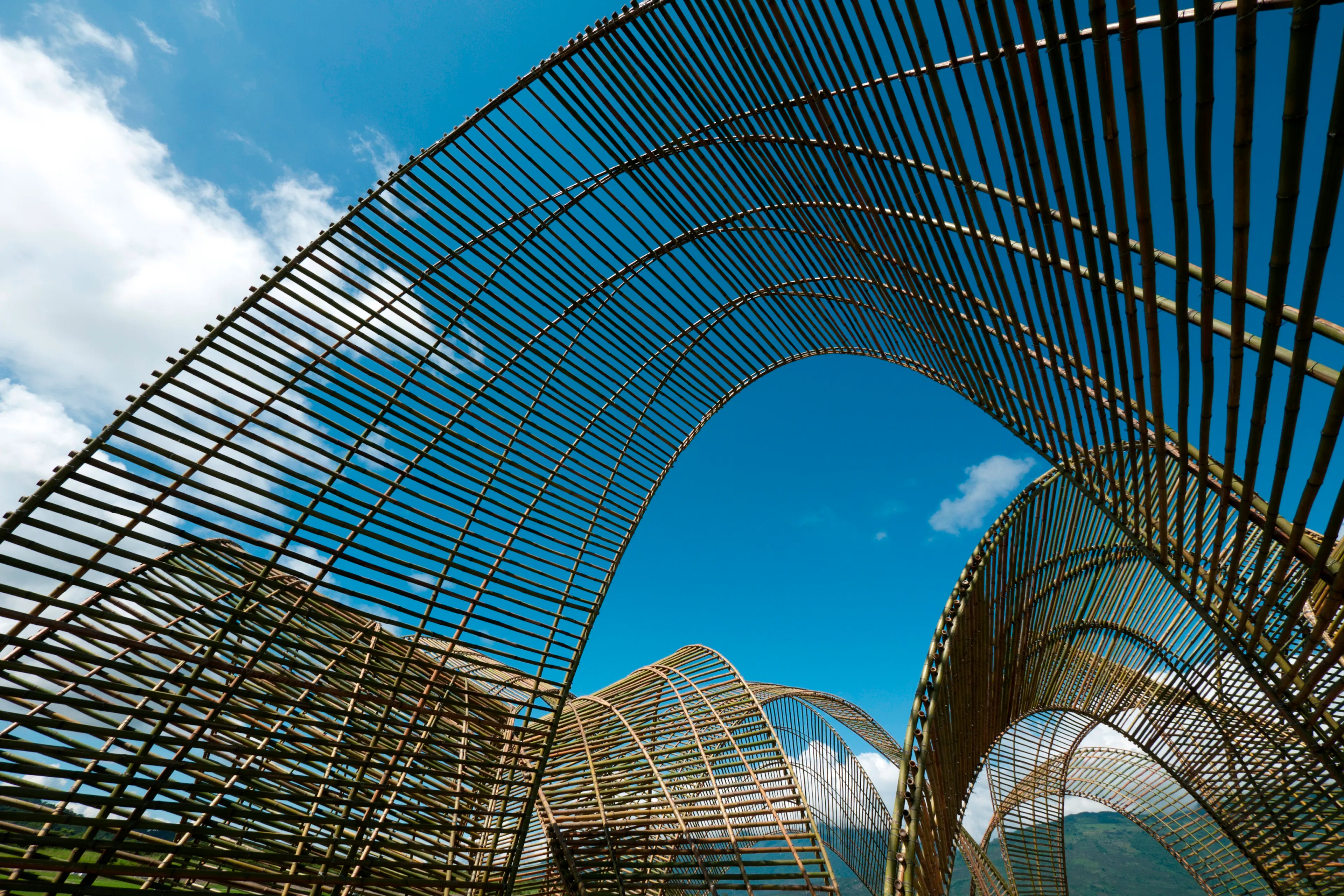 Forest Pavilion — 1