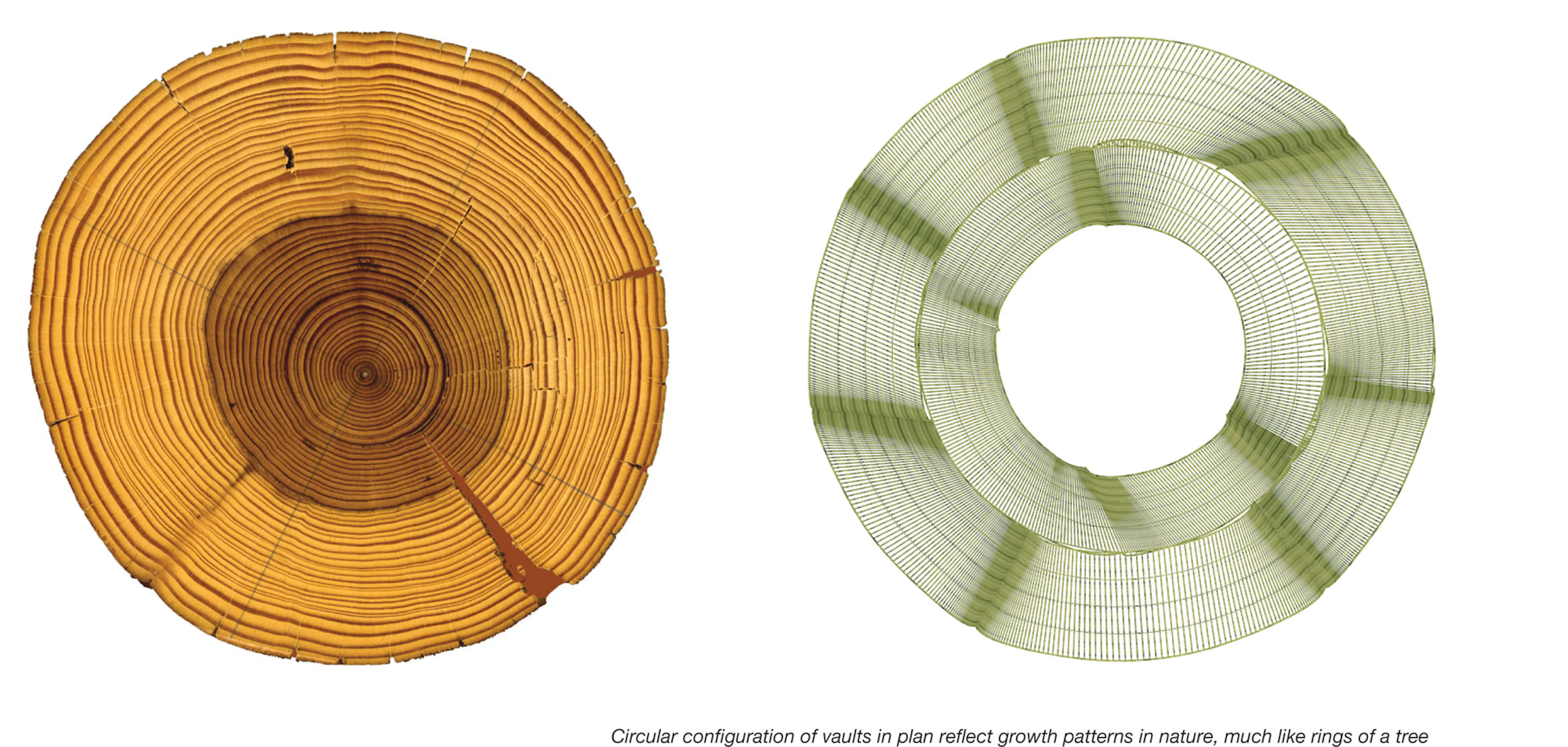 Forest Pavilion — 9