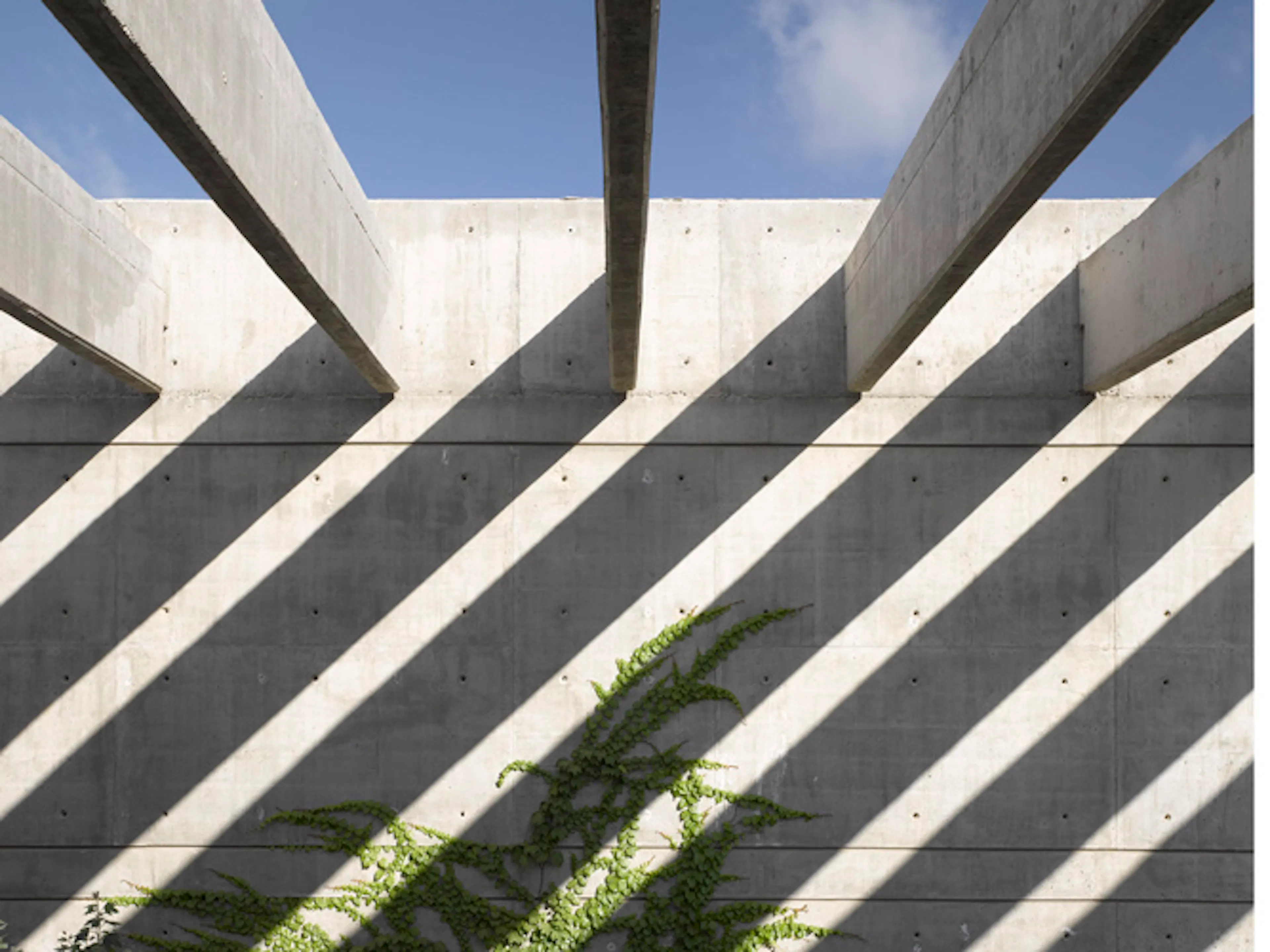 Midbarium, The Jack, Joseph & Morton Mandell Animal Park — 29