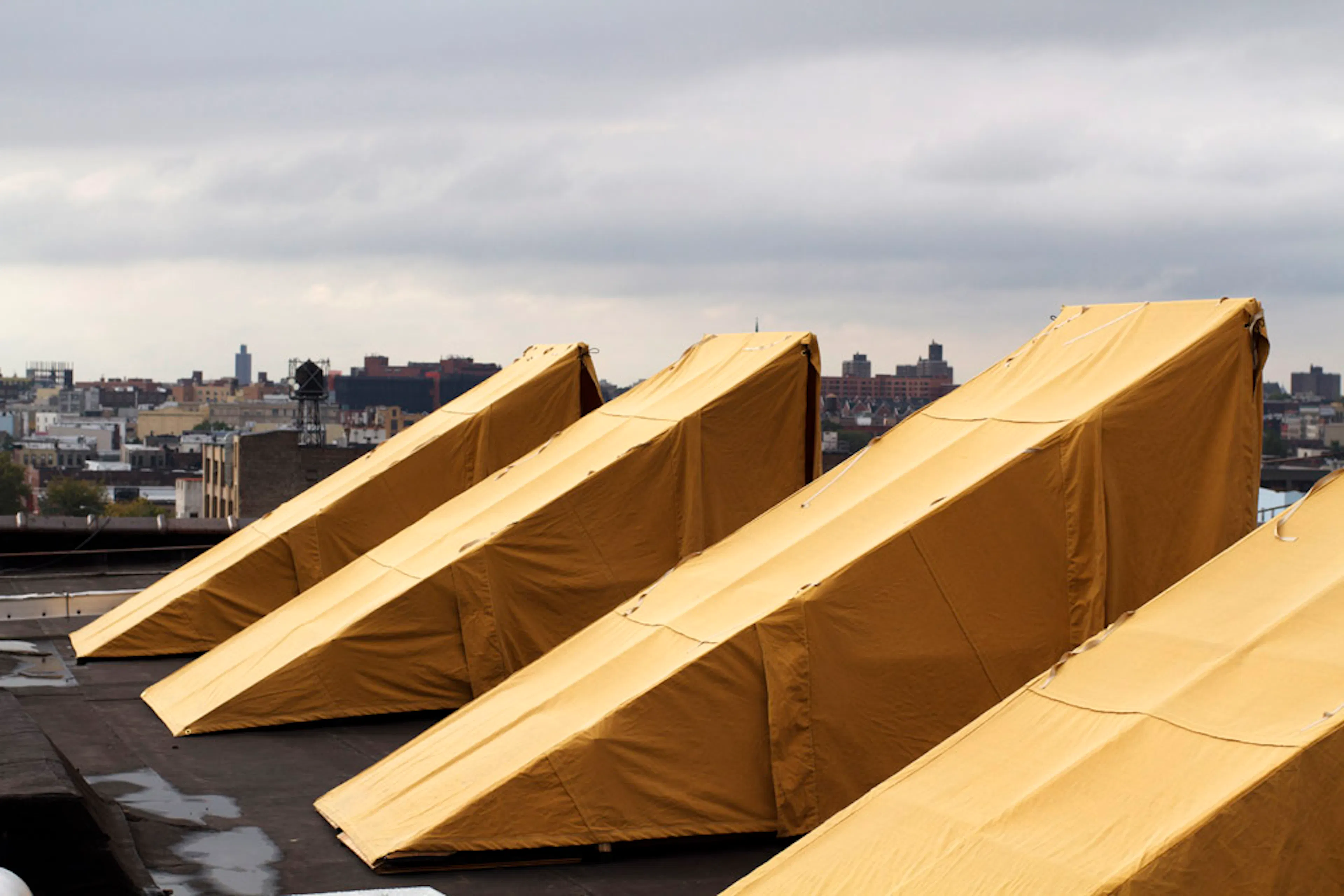 Bivouac New York — 1