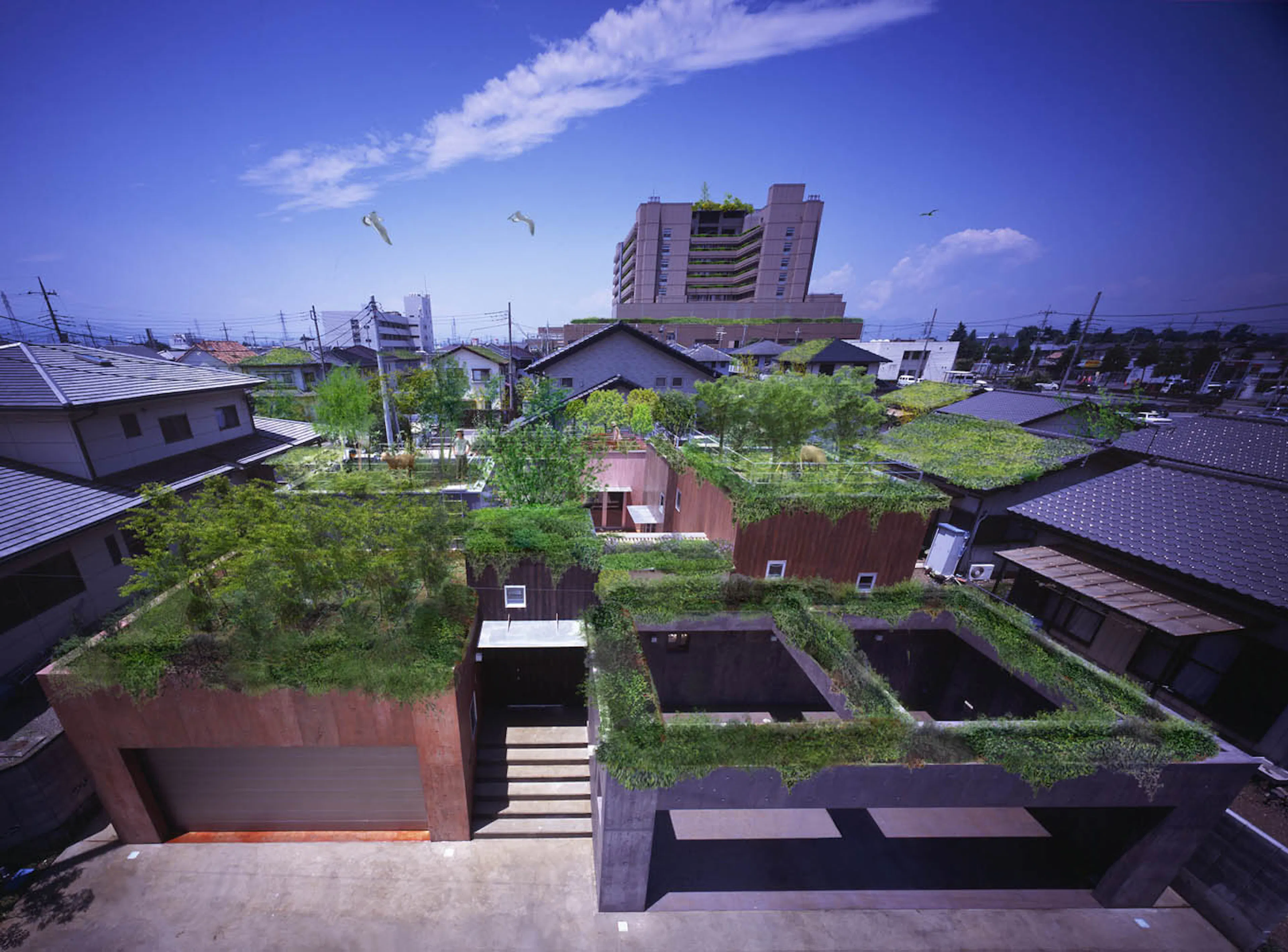 RYUICHI ASHIZAWA ARCHITECTS & associates — 6