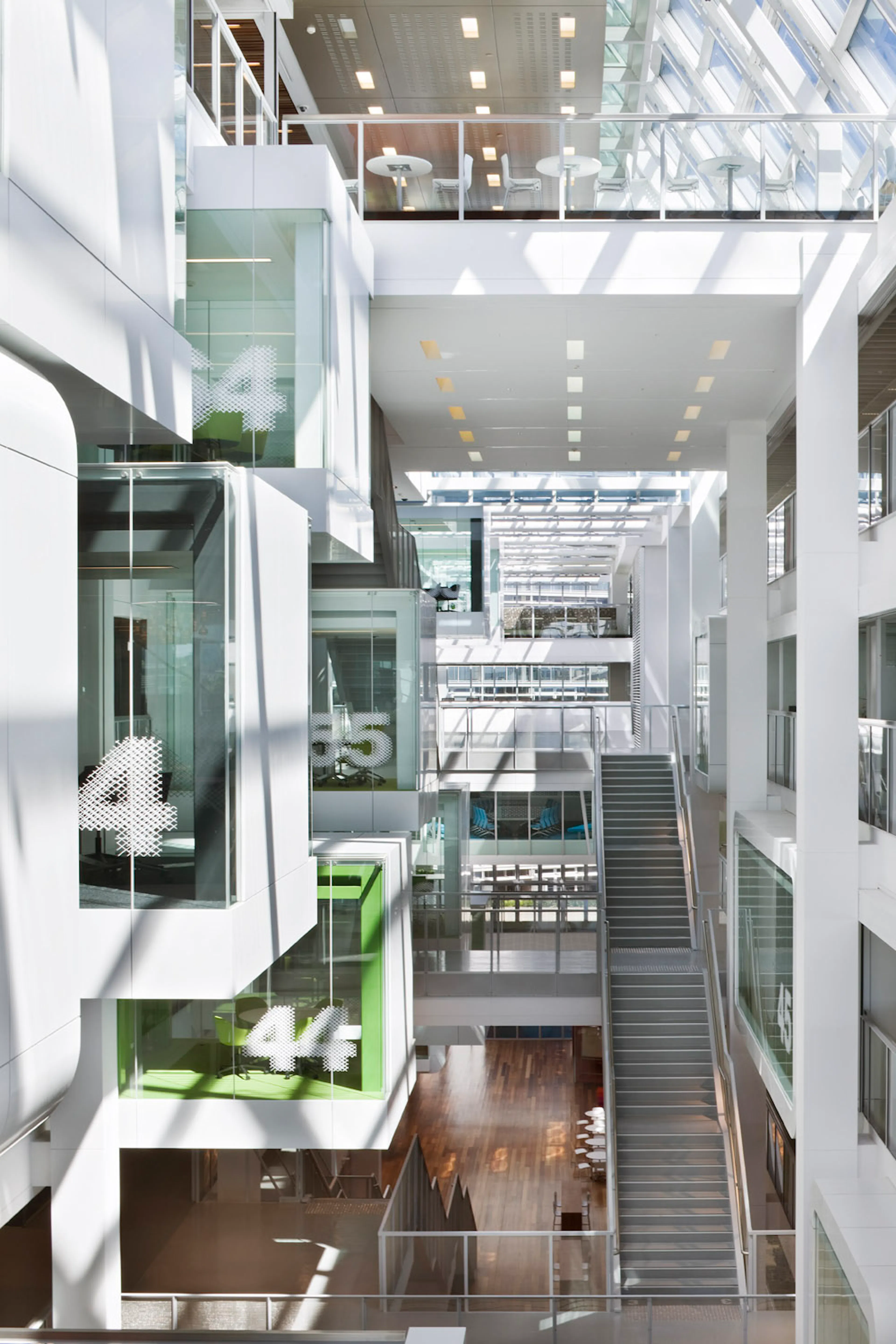 One Shelley Street — 15