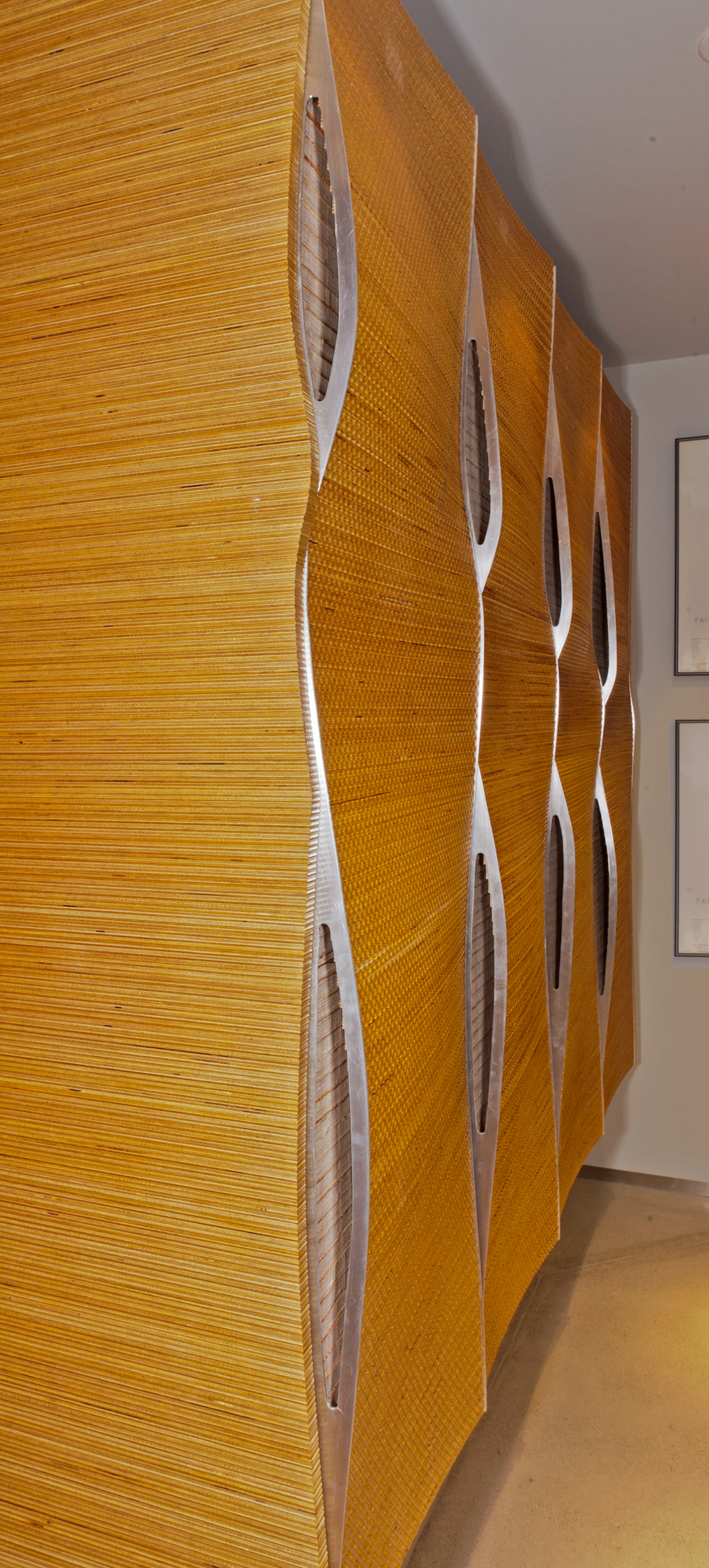 Idea 370033 Flute House by The Think Shop Architects in Royal Oak