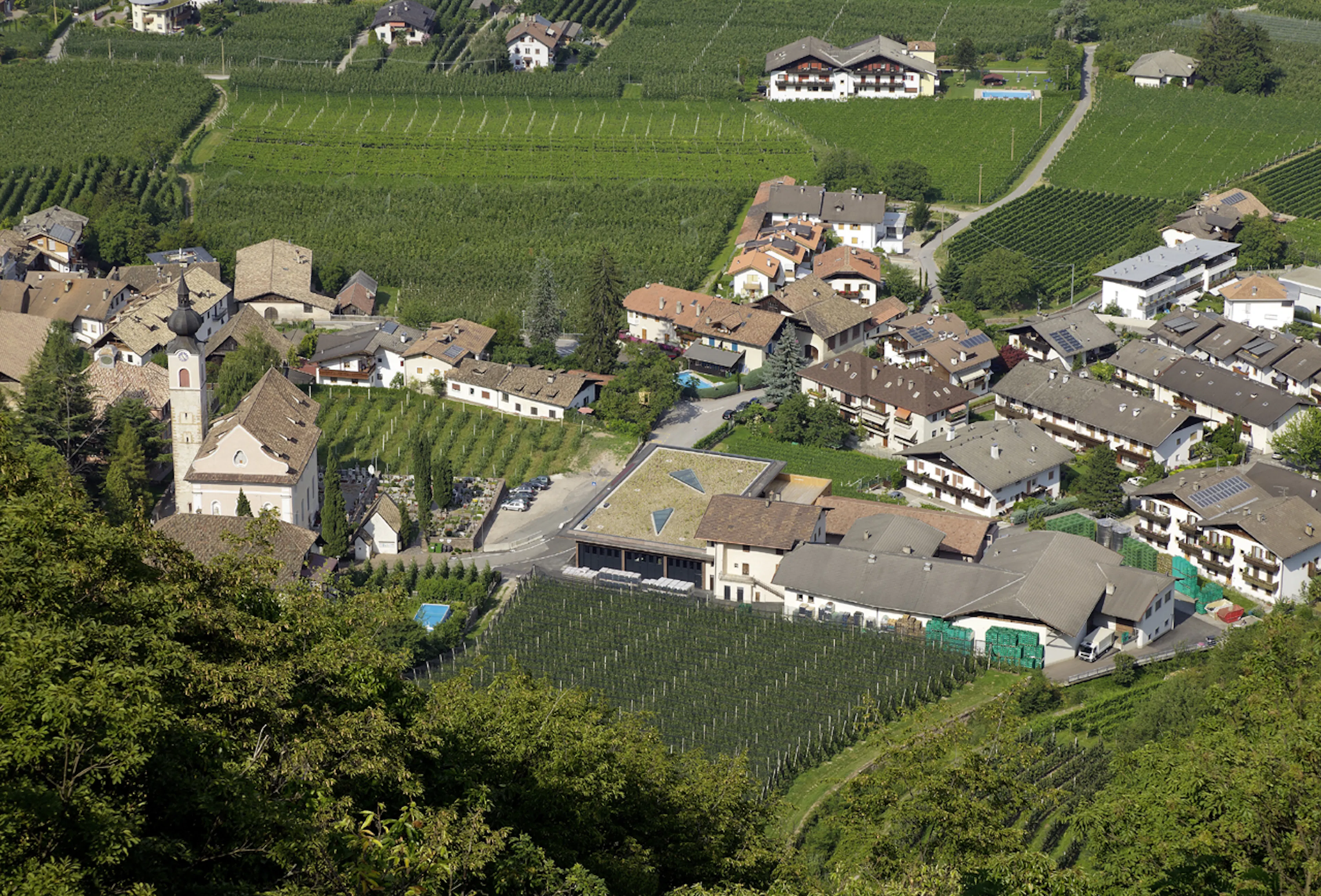 Nals-Margreid Winery — 19