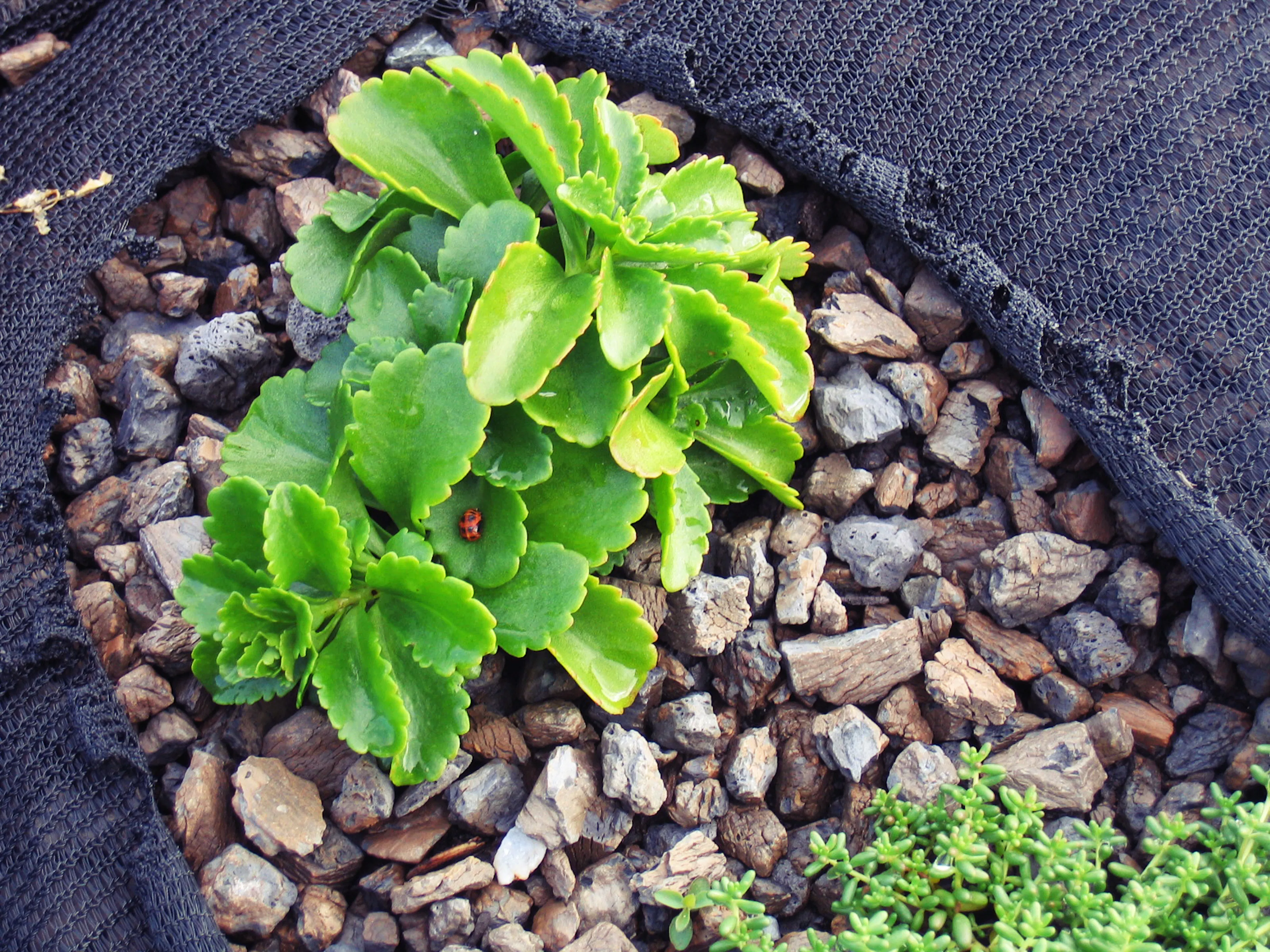 COOKFOX Architects — 15