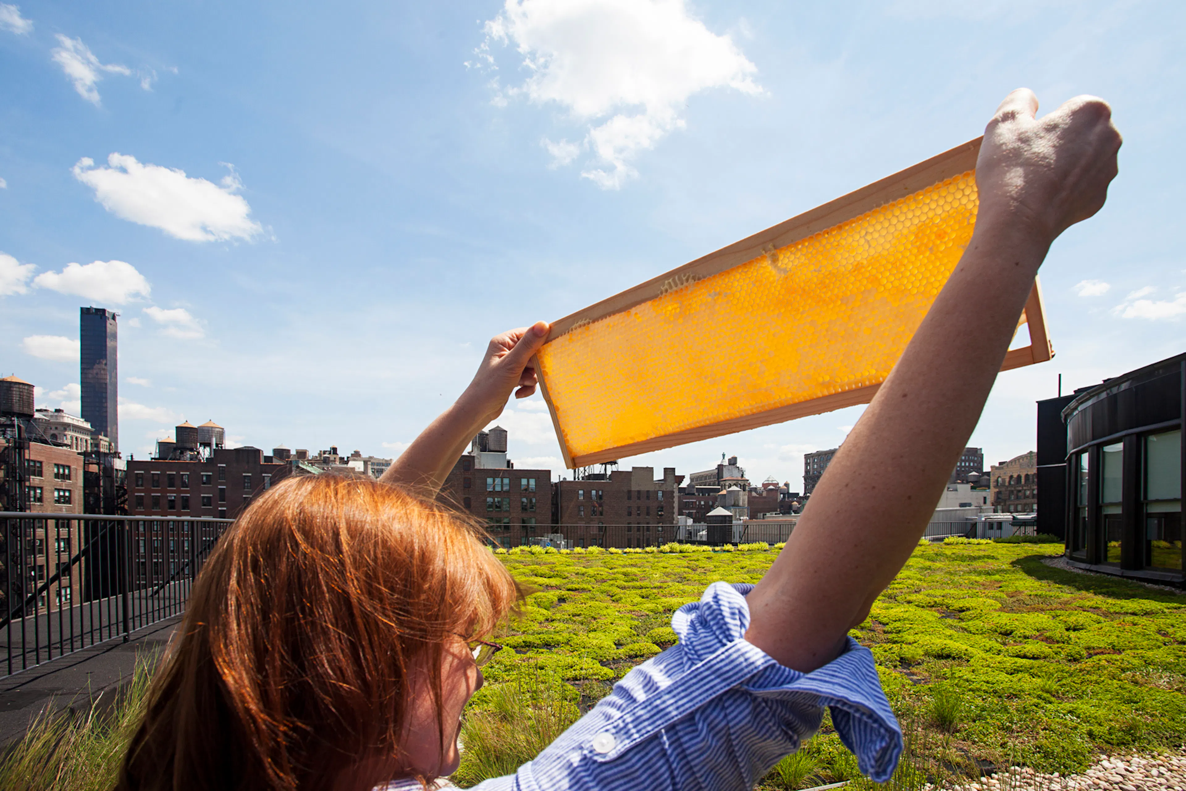 COOKFOX Architects — 14