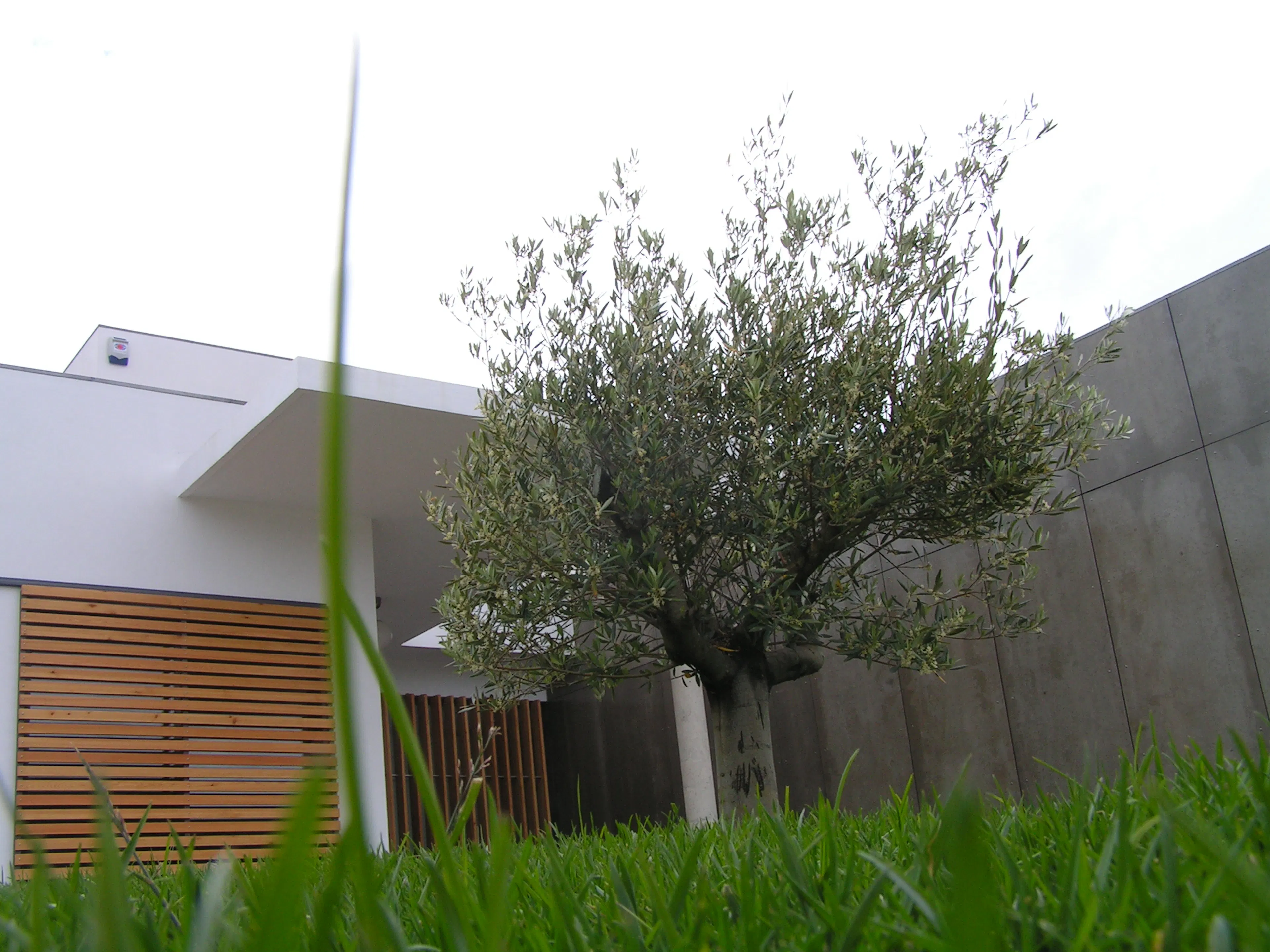 Our Lady of Fátima Chapel — 1