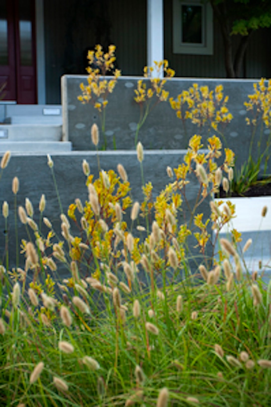 Front Yard Retreat - Architizer