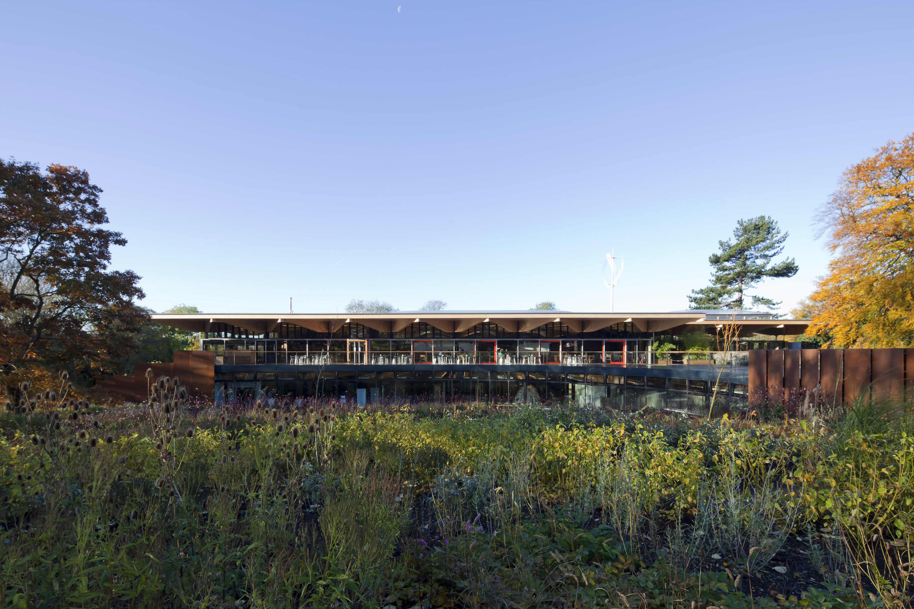 New biodiversity garden. Photo: Paul Raftery - © Cullinan Studio